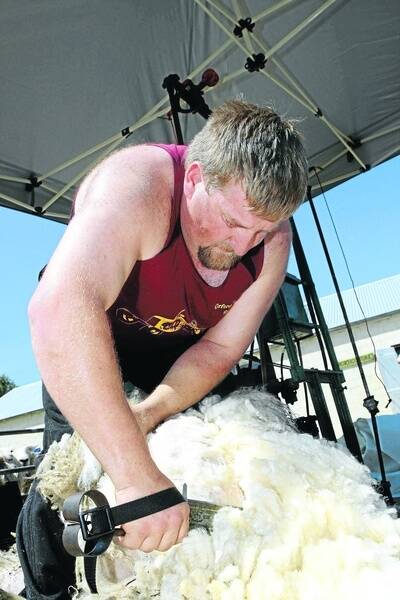 Broadwater shearer Luke Rowbottom demonstrates some old-style hand clipping at the Port Fairy Show on Saturday. 091107AS15 Pictures: AARON SAWALL