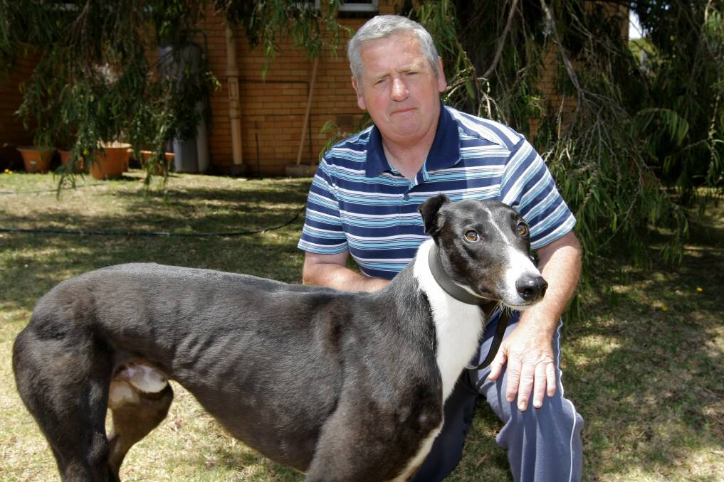 Warrnambool greyhound trainer Trevor McLaren, with his dog American Dollar, which won a $5000 race at Wannon Park. 