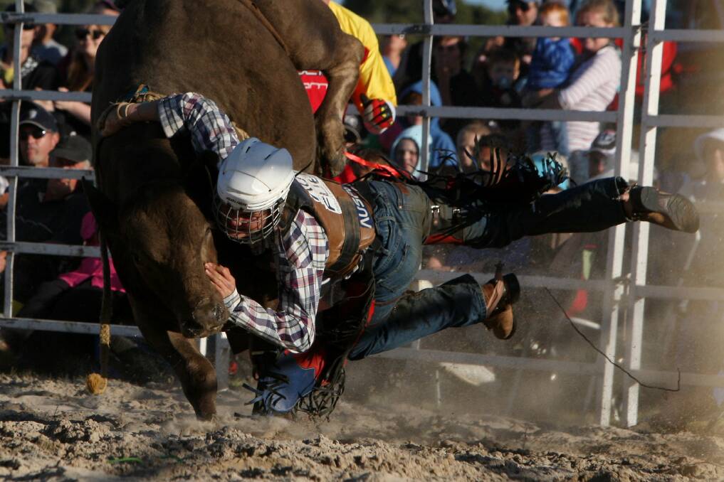 Junior bull rider Darcy McBean makes an involuntary dismount from his charge. 