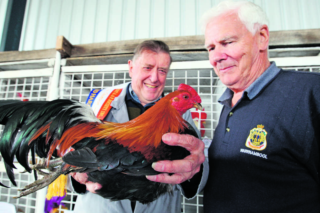 Ian Grant (left), of Geelong, with his old English game cock which won reserve champion bird, and judge John McCullough, of Warrnambool.