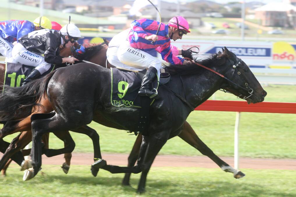 Warrnambool trainers Bill and Symon Wilde will saddle up Watto’s Racer in tomorrow’s Terang Cup.