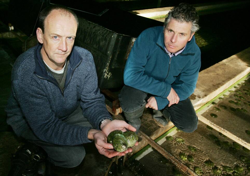 An abalone farm run by Mark Gervis and Tim Rudge was central to the first Supreme Court action.   