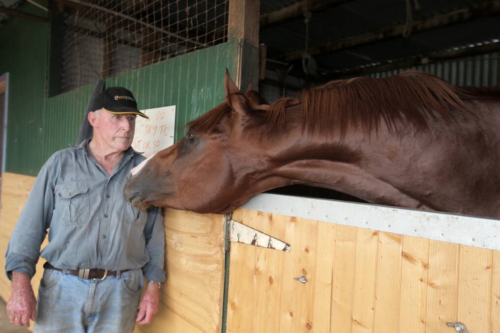 Terang trainer Jock McArthur gets a kiss from his Camperdown Cup hope Beware Of Thestorm.