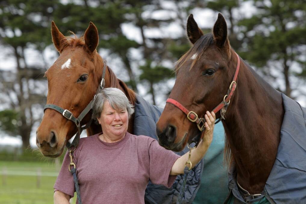 Harness trainer and driver Shirley Drake, from Childers Cove, is preparing Ruby My Love and Captain Chequer for an outing at Terang.