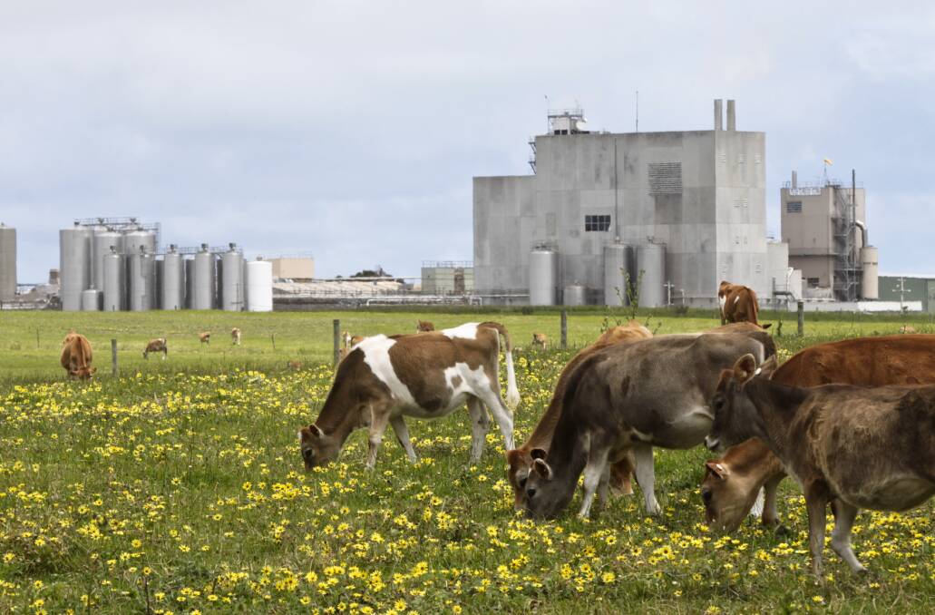 The battle for control of Allansford milk processor Warrnambool Cheese and Butter is nearing an end but as yet there is no clear winner. 