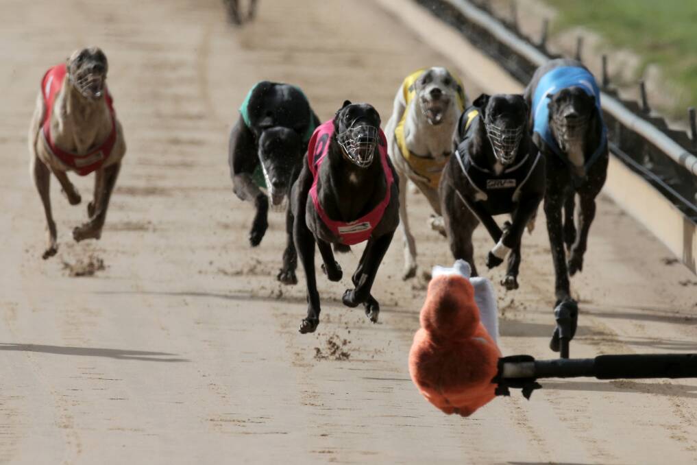 Black Foo (centre) finishes powerfully to claim a $5000 final over 450 metres at Wannon Park. 