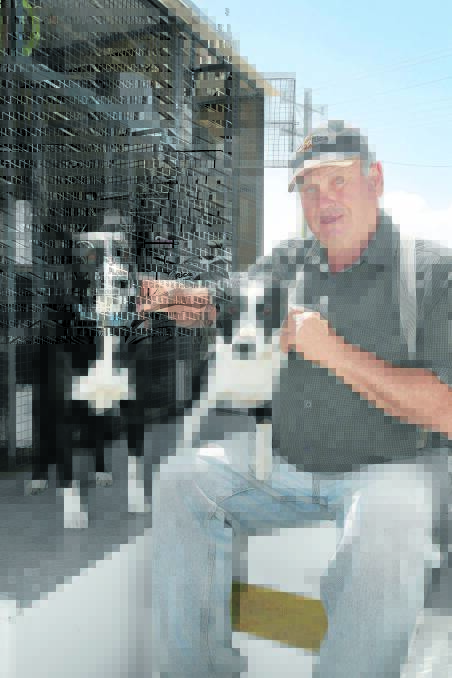 Greg Campbell, from Sutherlands Creek, near Bannockburn, with his border collies Glamorgan Oscar (right) and Okanes Trudy, which took out first and second place respectively at the Koroit Sheepdog Trials.