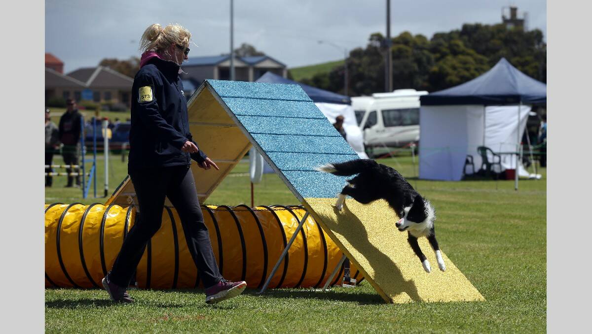 Warrnambool Dog Training School Agility and Jumping Trials at the Harris Street Reserve. Caliglory with owner Sarah McDowell.  131103DW45 Picture: DAMIAN WHITE