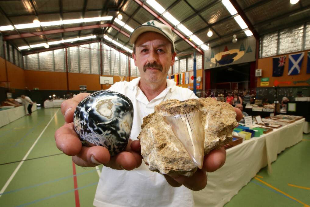 Laang dairy farmer and agate collector Brian Salmon with a polished Moonlight gemstone found in The Otways and a fossilized tooth from a giant mako shark — believed to be 10.5 metres long — found near Port Campbell.