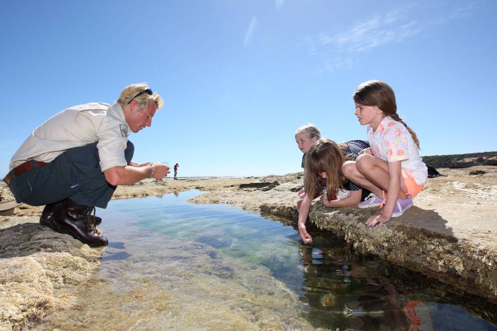 Ranger James Cordwell takes Chloe Moloney, 7, and Jade Bell, 11, both of Warrnambool, and Ella Moloney, 8, from Boorcan, on a rockpool ramble around the Merri Marine Sanctuary. 