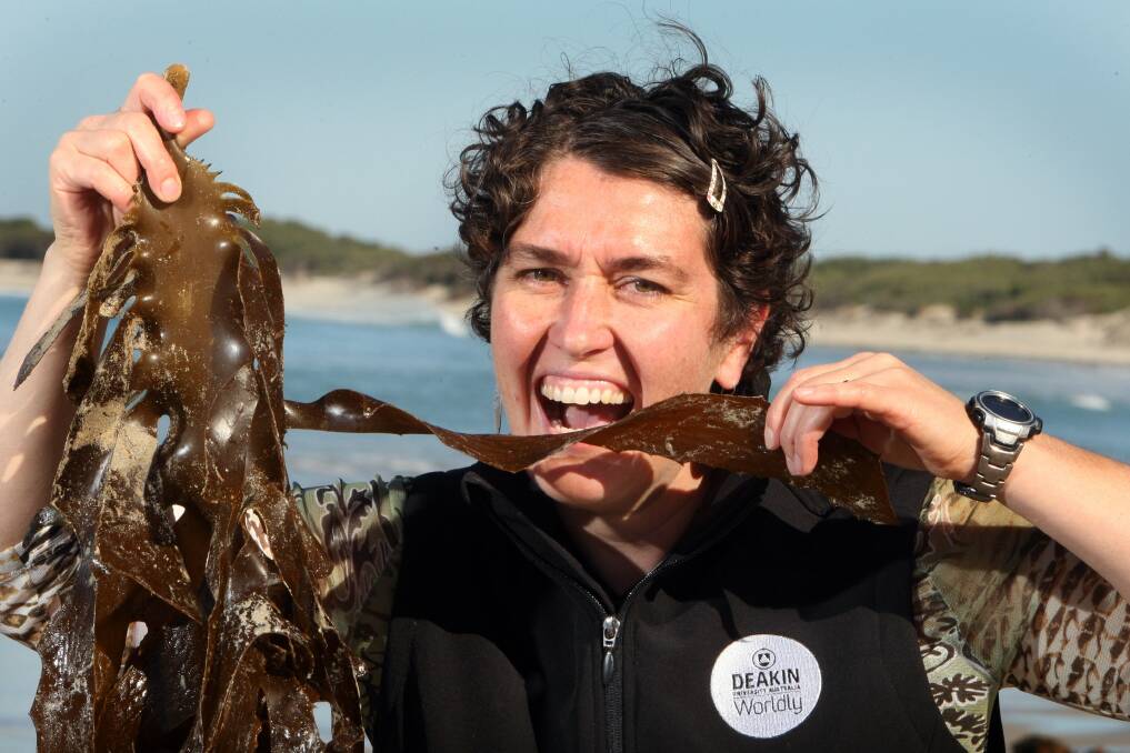 Deakin University Warrnambool marine biologist Dr Alecia Bellgrove is researching the south-west’s seaweeds to find the most palatable and marketable.