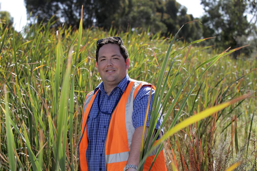 Warrnambool City Council’s manager for infrastructure developments and projects, Justin Hinch, gets in among weeds clogging Russells Creek which will be removed to alleviate the flood risk.