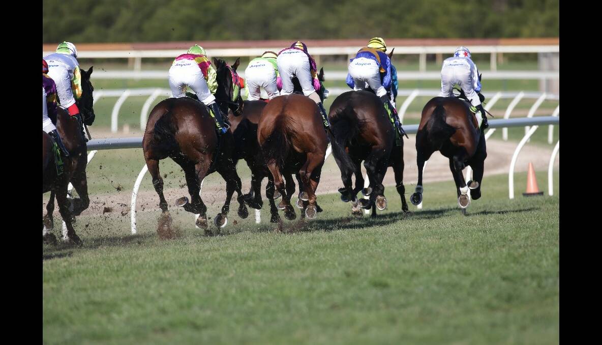 Part of the field in Race 8, the Warrnambool Cup