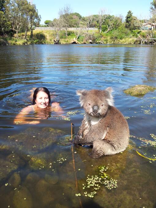 Julia Moloney with the koala at the Panmure swimming hole. Picture: Carl Moloney
