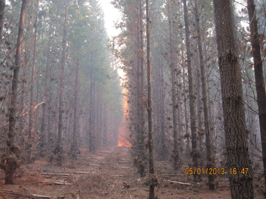 A DSE image of the fire at Kentbruck, which has been burning plantations since Friday.