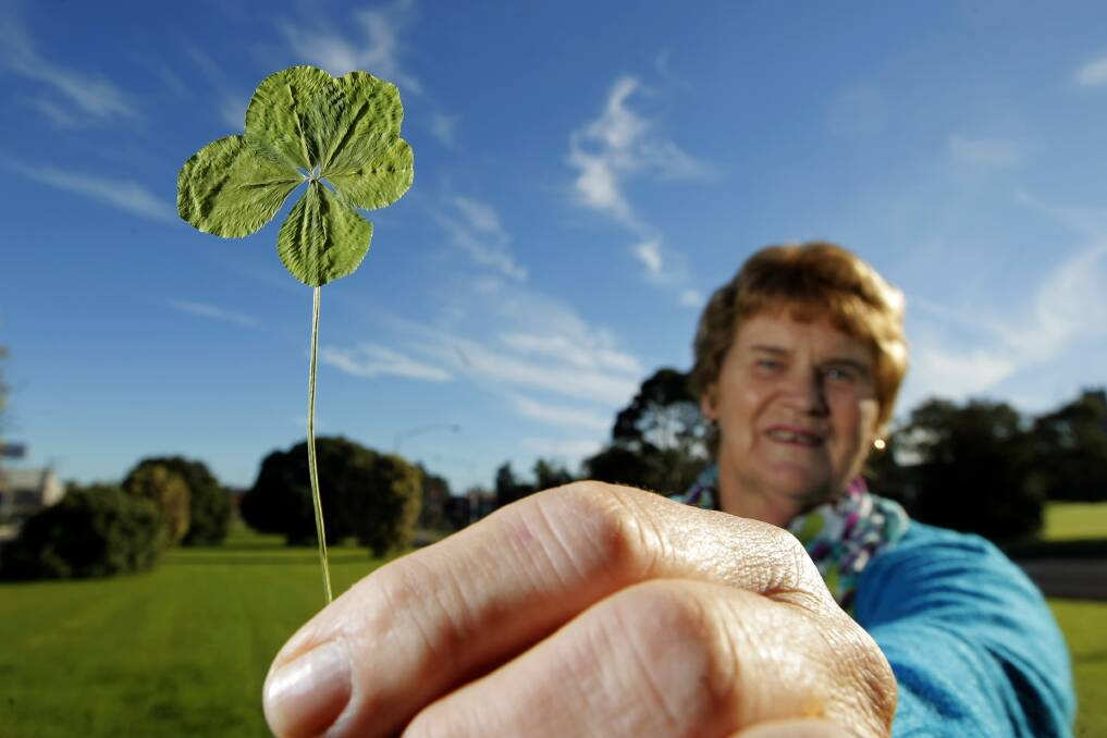 Jean Clover, from Timboon West, found this five leaf clover in her vegetable garden. 