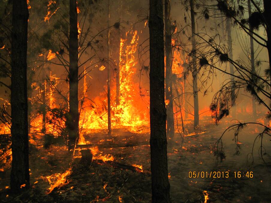 A DSE image of the fire at Kentbruck, which has been burning plantations since Friday.