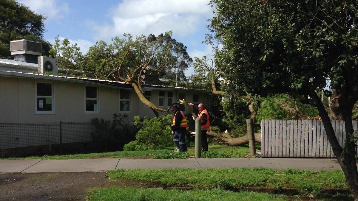 A tree fell on Koroit Kindergarten early in the afternoon, damaging its roof.