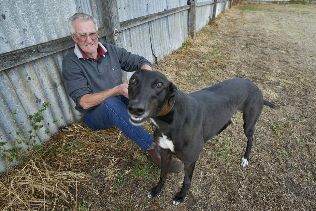 Ted Heard with greyhound HollyLaw who is in the final at Wannon Park meeting.