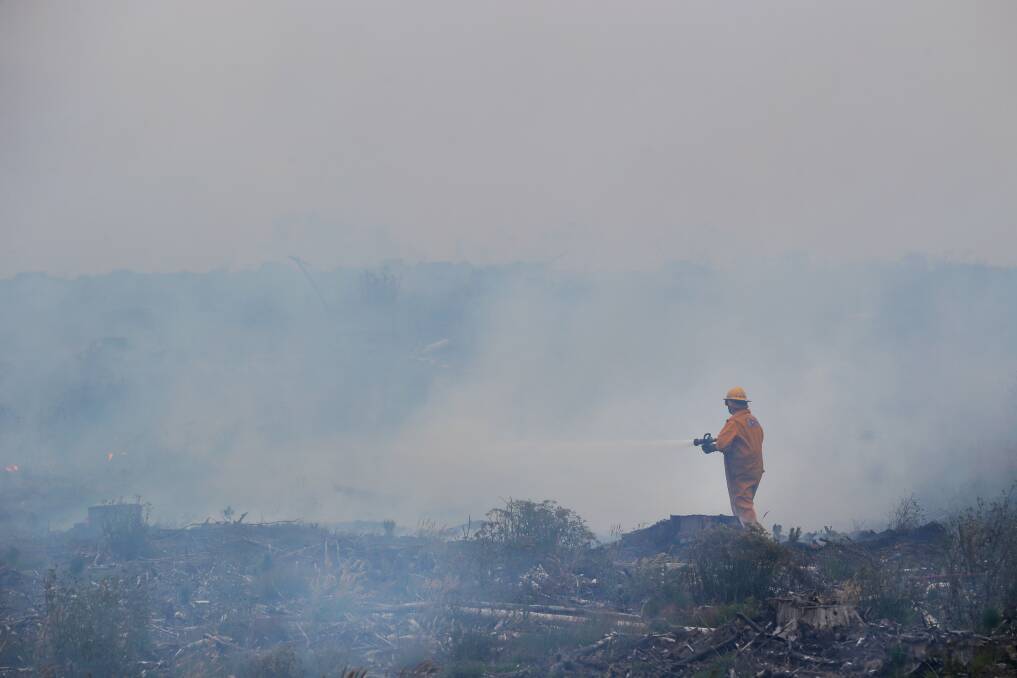 A CFA member looks across the smokey burnt plantations at Drik Drik yesterday.