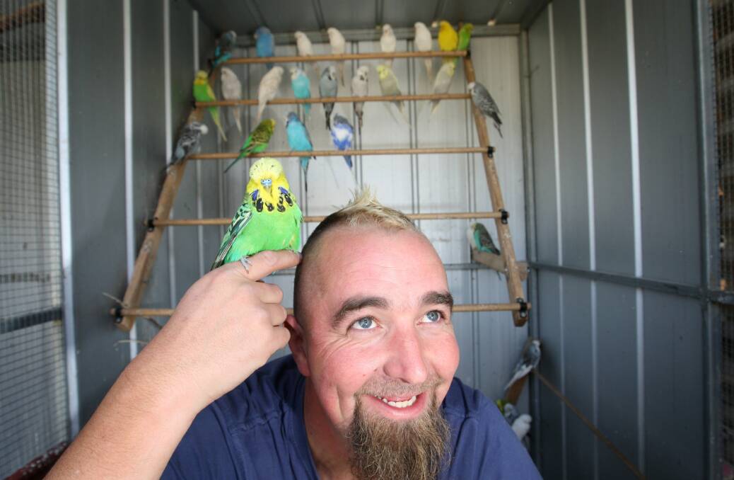 South West Budgerigar Club president Jeremy Brown is ready for Saturday's expo.