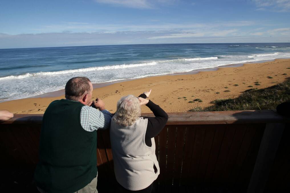 People watch southern right whales off Logans Beach in Warrnambool. Picture DAMIAN WHITE