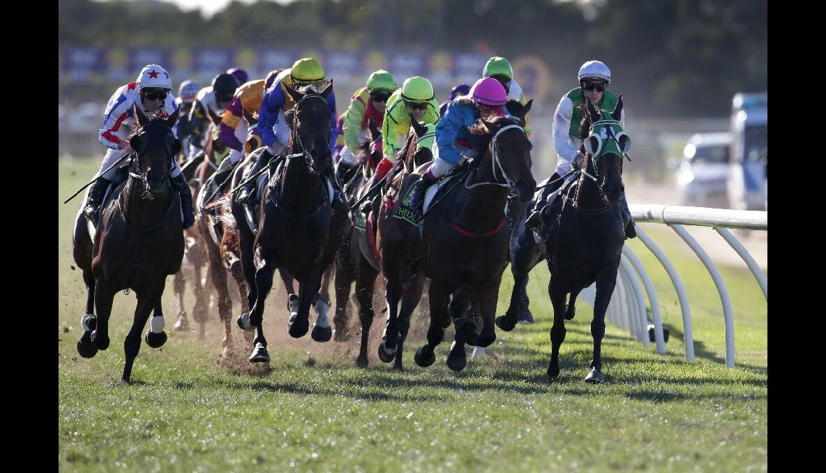 Runners in the Warrnambool Cup round the first corner with eventual winner Banca Mo, ridden by Ben Knobel on the inside. 