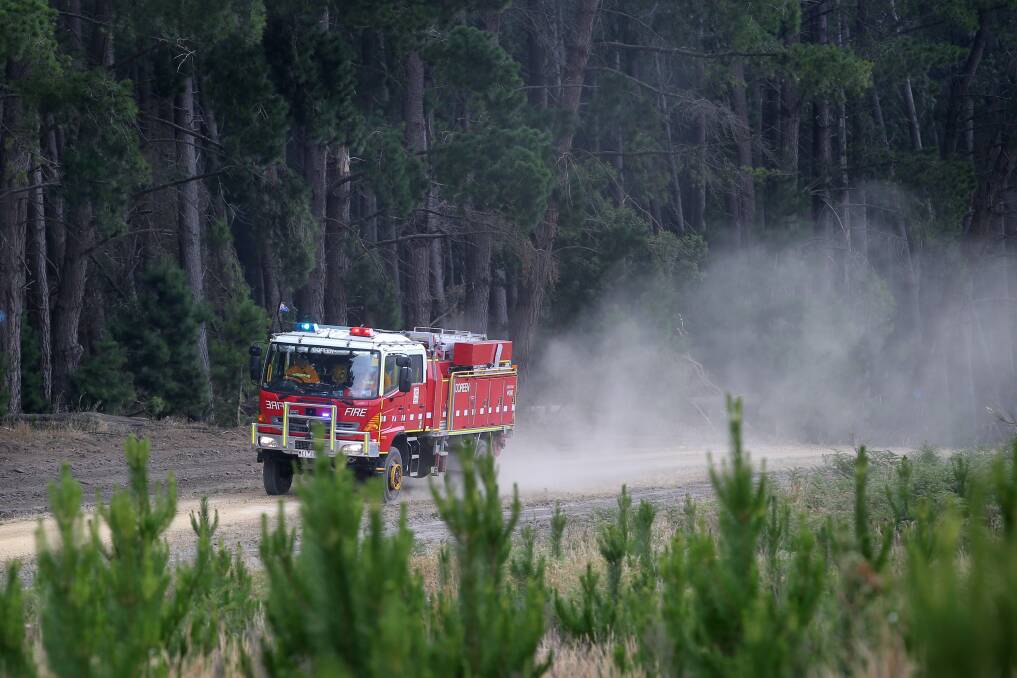 A CFA truck drives through a pine plantations in the Lower Glenelg National Park fire at Drik Drik. 