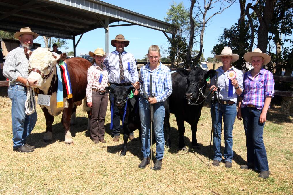 Bill Lambert holding Taronga Poll Hereford Paschendale Supreme Champion Bull, judges Ruby Canning, 15, and her dad Ross Canning from Mortlake, Natalie Johnstone holding a Heifer Calf, Rebecca Rundell holding Supreme Beef Exhibit and Emily Johnstone.   