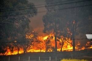An RMIT research team member will meet with Koroit residents to find out how to improve bushfire awareness.