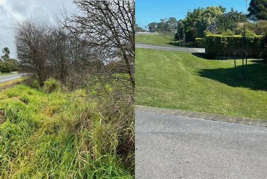 Before and after: Brian Bellman cleared scrub and trees in an attempt to "beautify the area". Moyne Shire Council has given him until October 18 to remove the pear trees he planted.