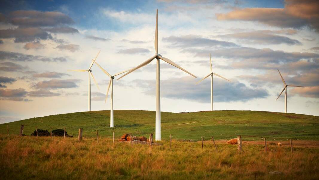 Farmer and brolga conservation activist Hamish Cumming says the developers of the Willatook Wind Farm couldn't have been 'blindsided' by a recent Planning Minister assessment.