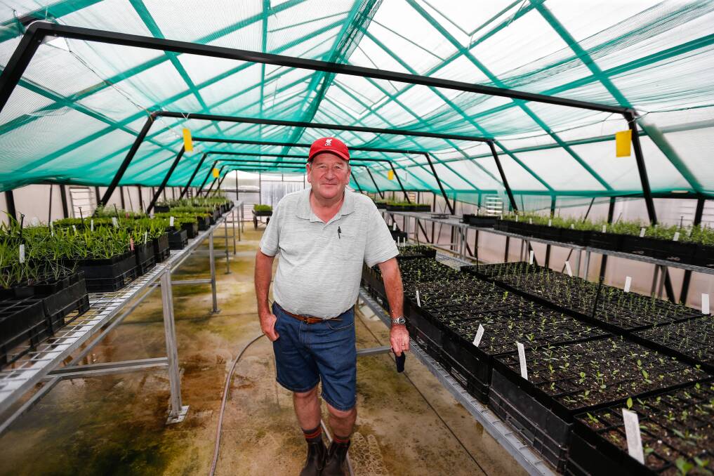 Blooming: Peter Lyles in the growing hothouse at Casuarina Indigenous nursery, where the temperature stays between 25 and 30 degrees to help the plants grow. Picture: Anthony Brady.