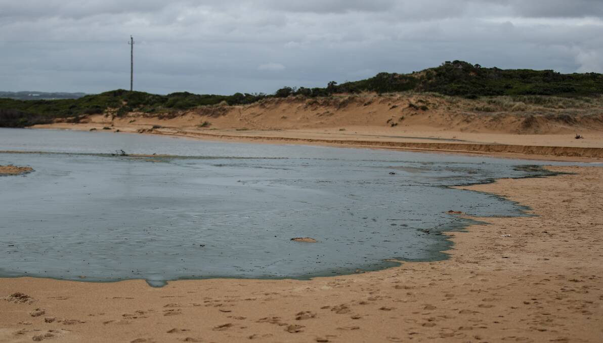 Blue green algae covers the beach at the mouth of the Curdies River estuary during the catastrophic 2022 algal bloom. Picture file