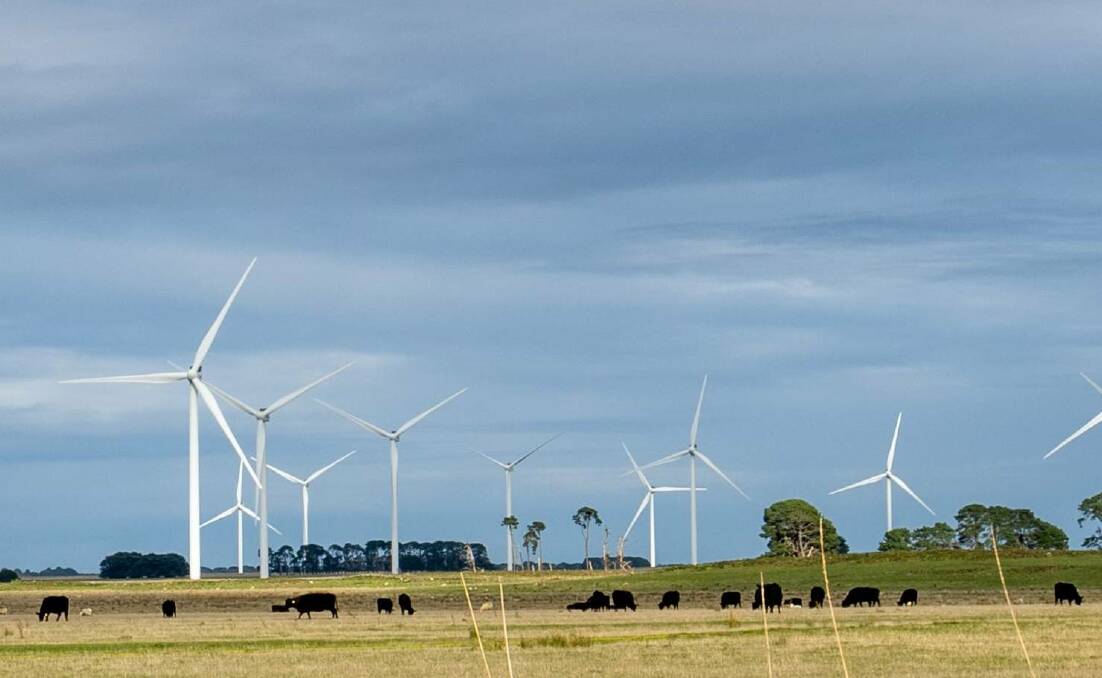Dairy farmers in Garvoc are worried a proposed wind farm will limit their ability to increase the productivity of their dairy farms.