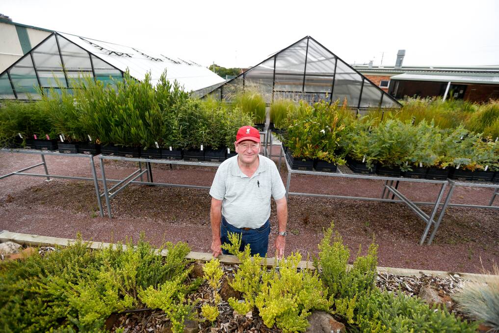 Flourishing: The Casuarina Indigenous Nursery has been resurrected under the watchful eye of Peter Lyles and his team. Picture: Anthony Brady.