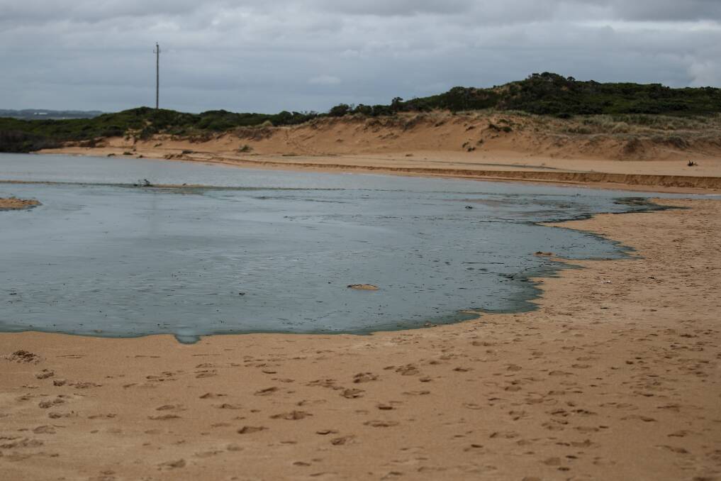 Putrid: The beach at the Curdies River mouth is covered in blue-green goo after water levels dropped with the opening of the estuary. Picture: Morgan Hancock