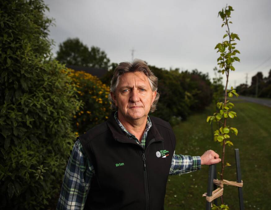 Pearplexed: Mailors Flat resident Brian Bellman is baffled by the order he has received from Moyne Shire Council to tear out his newly planted ornamental pears. Picture: Morgan Hancock.