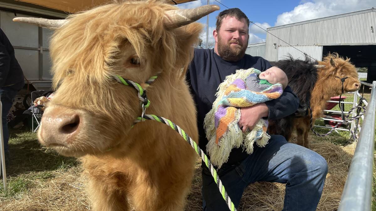 Cattle breeder Adam Edge has his hands full with a newborn baby and Paige the Scottish highland cow on display at the Camperdown Show. Picture by Ben Silvester