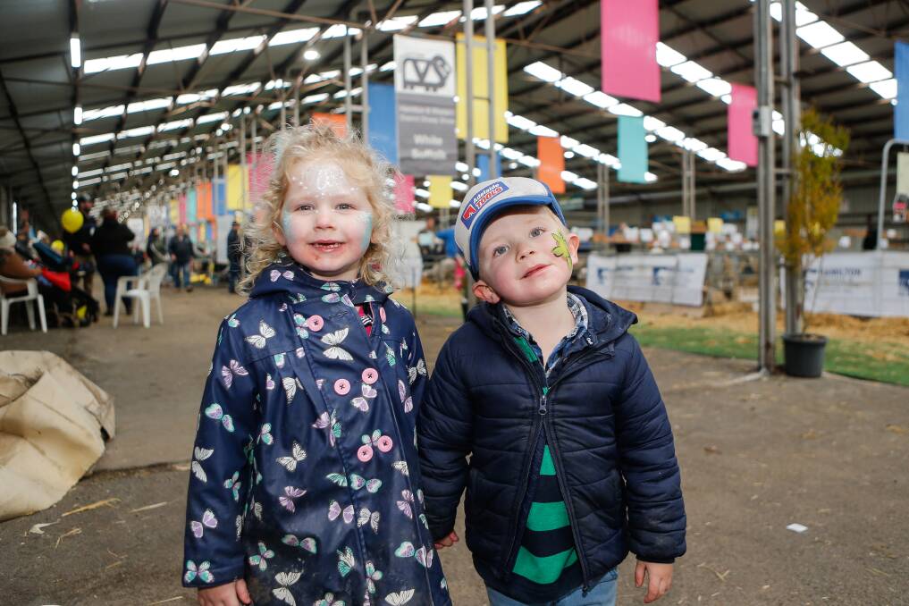 Having a ball: Three-year-old twins Charlotte and Tom Levy from Lucindale made good use of the face painting on offer at Sheepvention. Picture: Anthony Brady