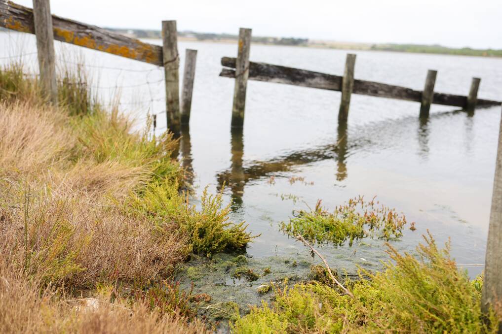 The Curdies River estuary in Peterborough has recovered from a devastating algal bloom in autumn 2022, but there is a high risk of another bloom in 2023. Picture by Anthony Brady