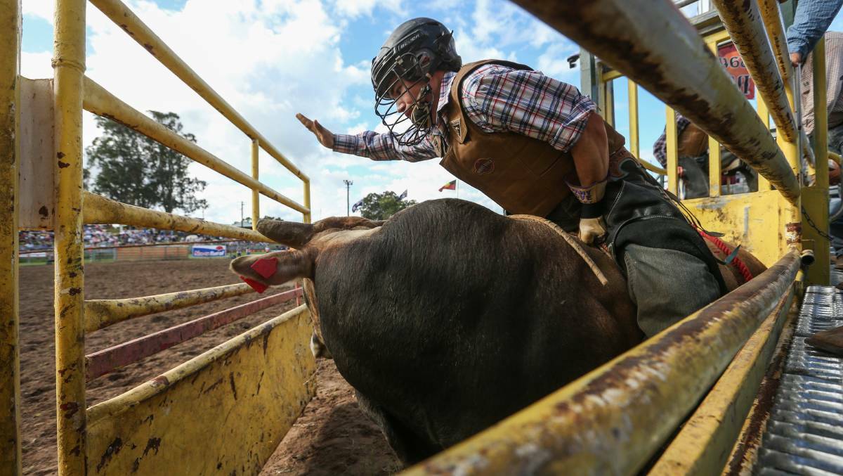 IT'S BACK: The first rodeo in over two decades will return to Warrnambool Showgrounds this weekend, but if that's not to your liking there are plenty of other events on. 