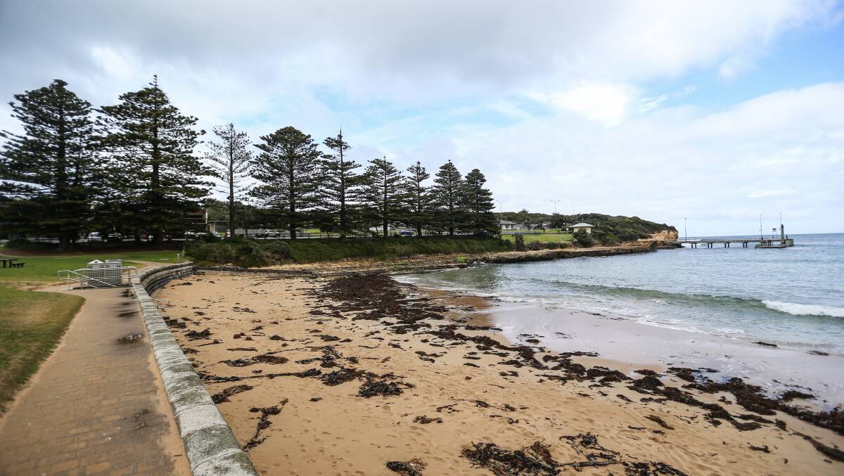 A dying Norfolk Island pine was scheduled to be removed in order to make way for extended decking works on the Port Campbell foreshore. 