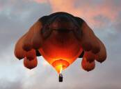 AIRBORNE: One of Patricia Piccinini's whale hot air balloons up in the air.