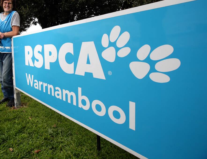 The Warrnambool branch of RSPCA is nearing capacity for its intake of cats. There are no alternative places in the city to surrender felines.
