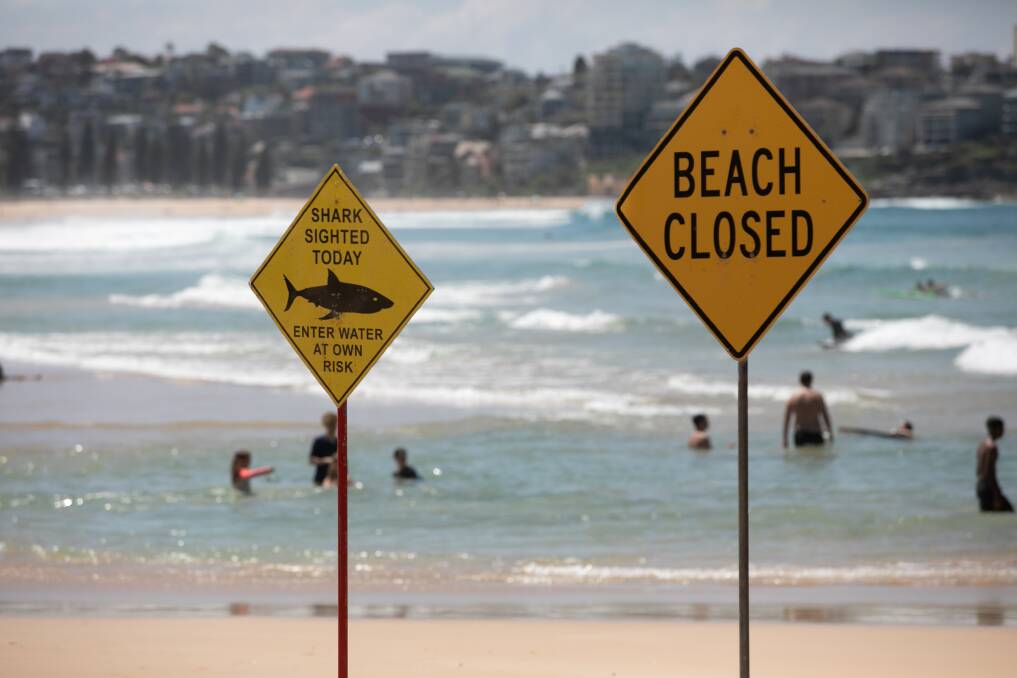 The beach area of Narrawong has been closed due to a shark sighting. This is a file image.