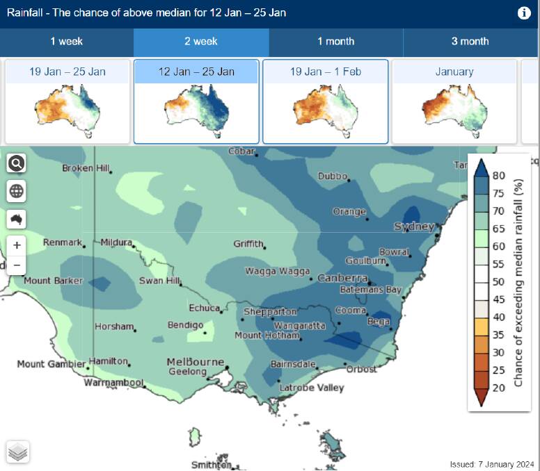 A map showing the chance of above median rainfall between January 12 and 25, 2024. Picture supplied