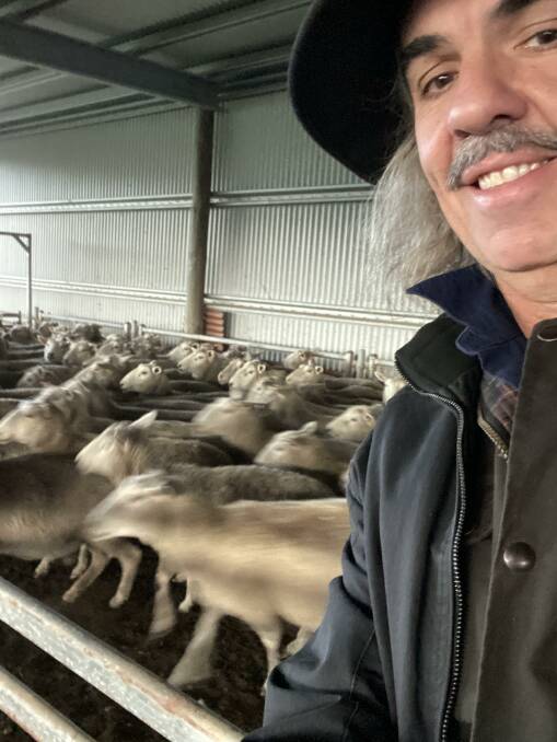 Stephen Teakle and some of the sheep on his Codrington farm.