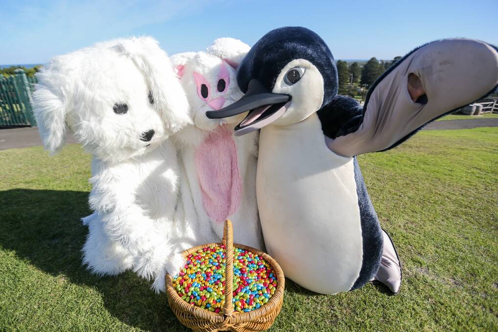 CHOCOLATE: There will be more than 10,000 chocolate Easter eggs to find at Flagstaff Hill Maritime Village across the Easter weekend. Picture: Anthony Brady