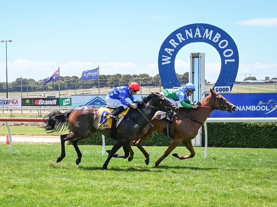 Yellow Sam, ridden by Jarrod Fry, wins the The Midfield Group Maiden Plate at Warrnambool for trainer Lindsey Smith. Photo by Alice Miles/Racing Photos